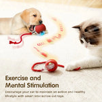 LEMEENQ Cat Interactive Ball Toy Auto Rolling Ball with Tail Rechargeable Smart Pet Interactive Toy Intelligent Mouse for Cat