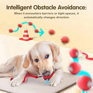 LEMEENQ Cat Interactive Ball Toy Auto Rolling Ball with Tail Rechargeable Smart Pet Interactive Toy Intelligent Mouse for Cat