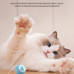 Cat Interactive Ball Electric Automatic Rolling Ball Smart Toys for Cats Smart Cat Toy Rotating Ball Cat Game Accessories